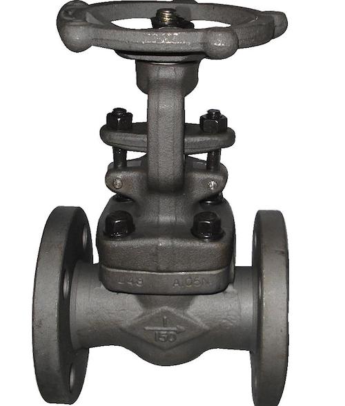 A105 Forged Steel Globe Valve